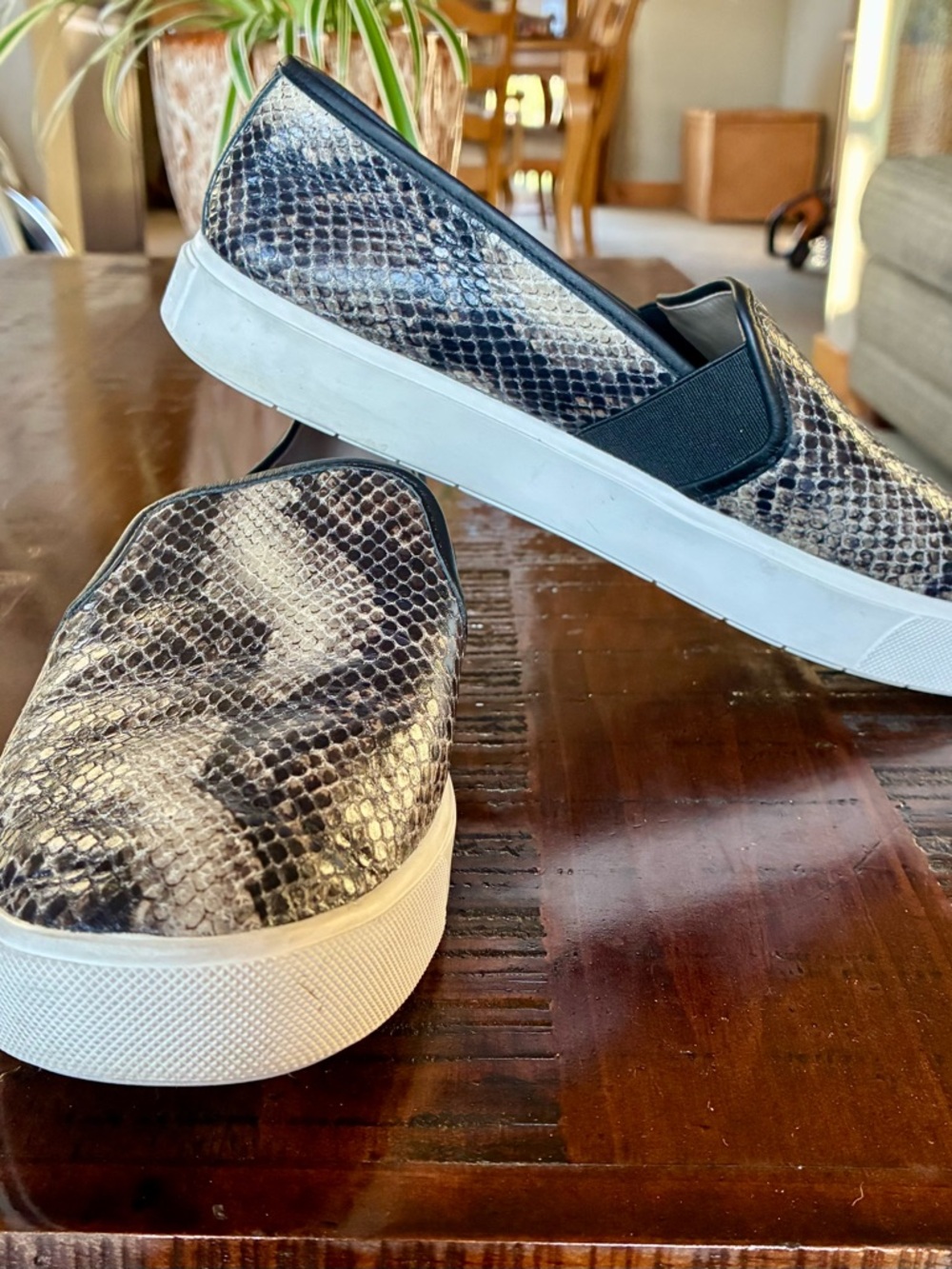 Vince Snake-Print Slip-On Sneakers in Black and White
